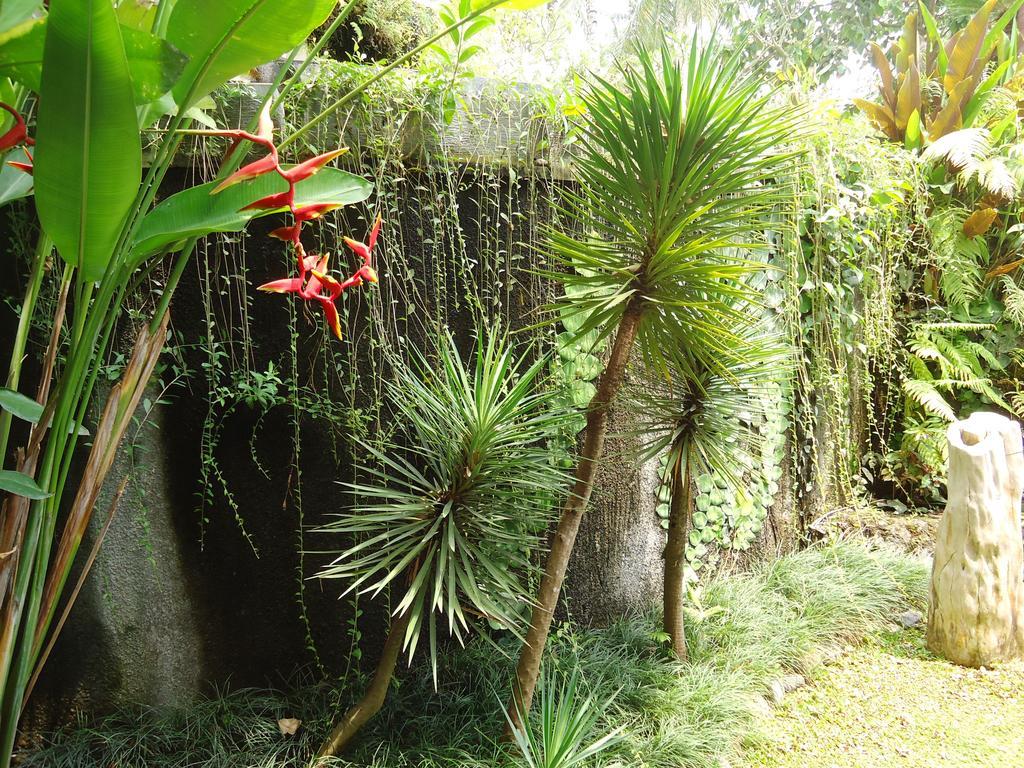 Labak River Hotel By Eps Ubud Zewnętrze zdjęcie
