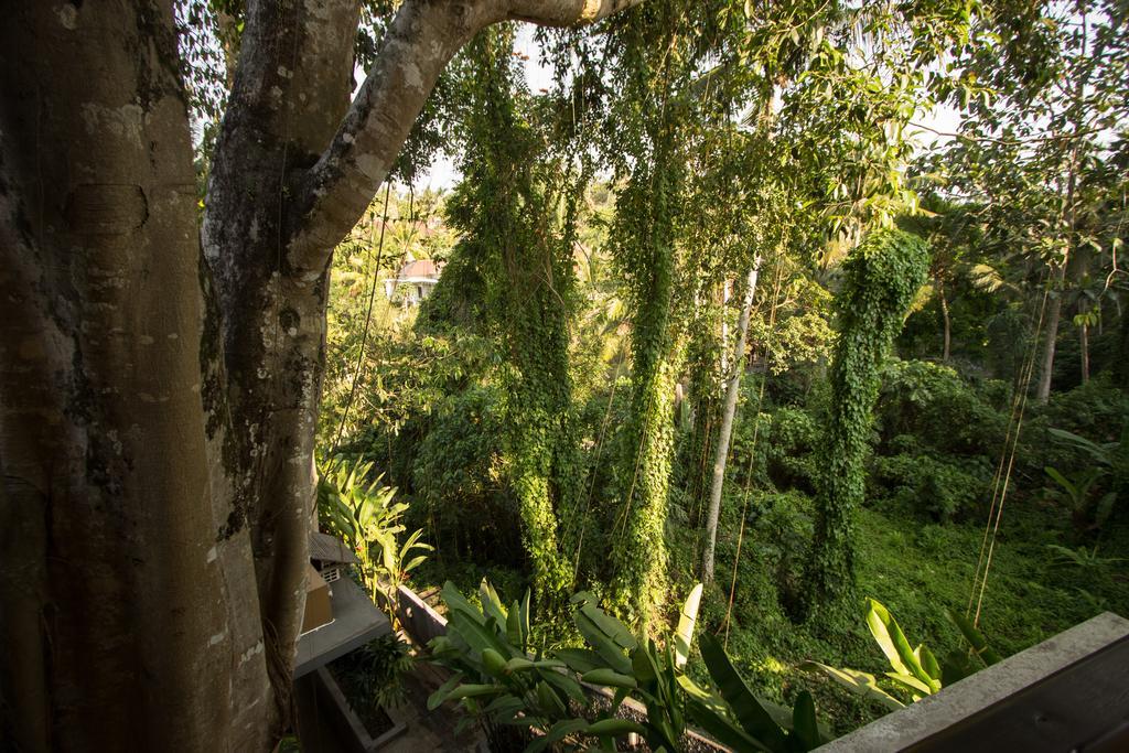 Labak River Hotel By Eps Ubud Zewnętrze zdjęcie