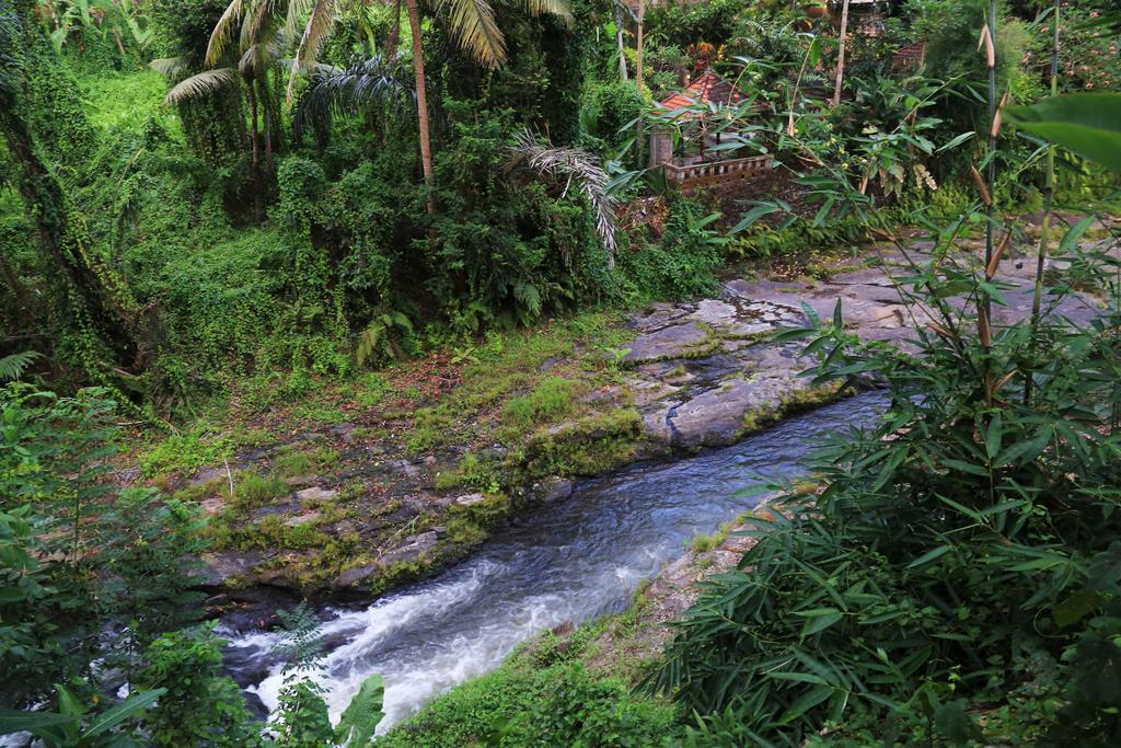 Labak River Hotel By Eps Ubud Zewnętrze zdjęcie